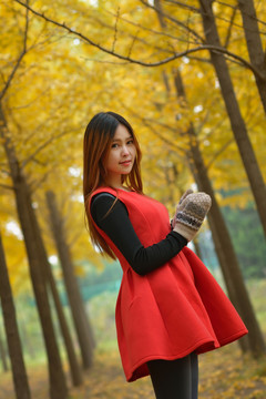 銀杏林里的女孩