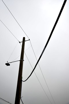 老式電線桿 電線 路燈