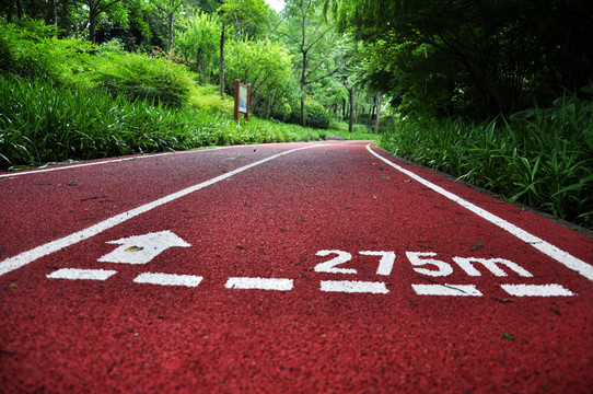 起跑線