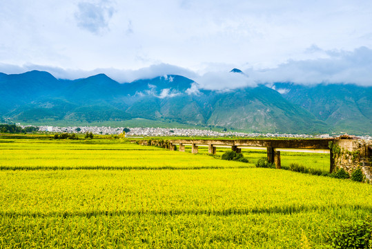蒼山洱海