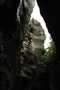 云南 石林