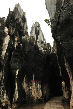 云南 石林
