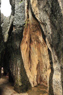 云南 石林