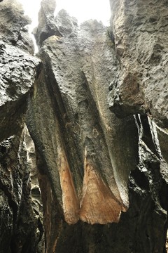 云南 石林
