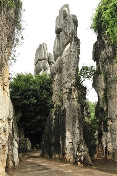 云南 石林