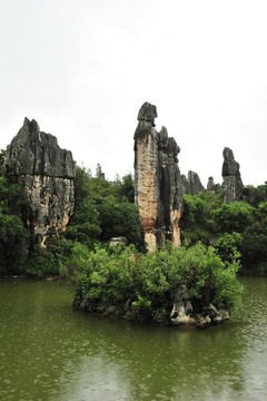 云南 石林