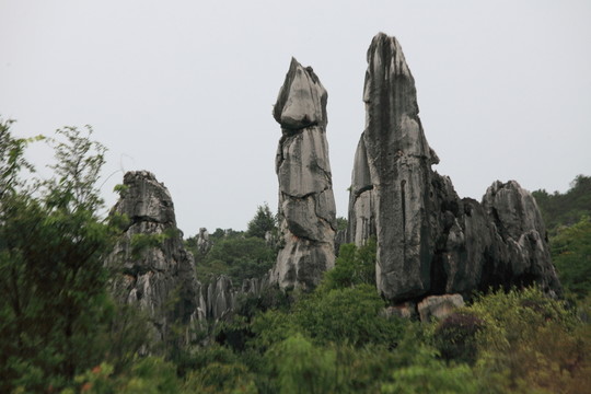云南 石林