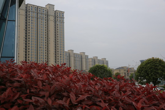 城市風(fēng)景