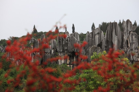 云南 石林