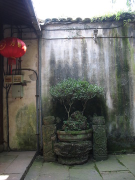 園內景觀