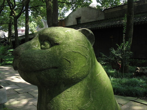 石虎