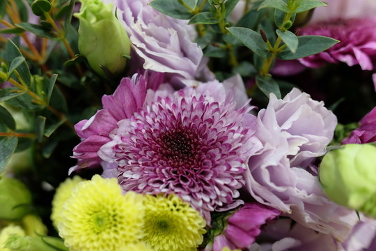 仿真花 干花