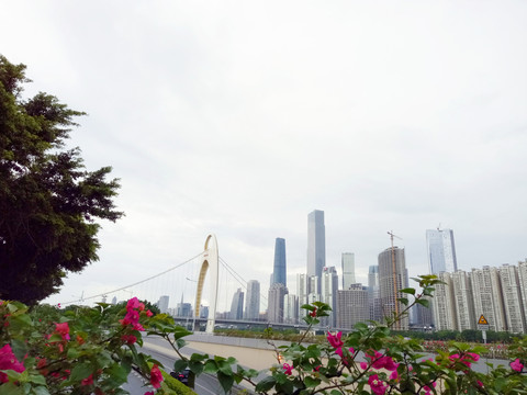 珠江風景 珠江琶醍