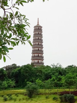 廣州水博苑 廣州琶洲塔