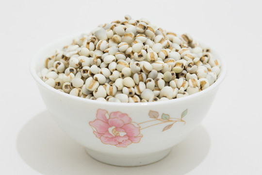 薏米 薏米仁