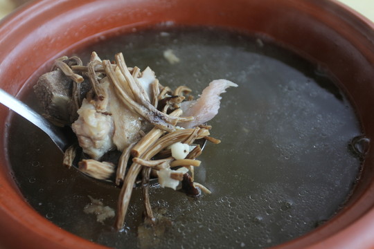 茶樹菇龍骨湯
