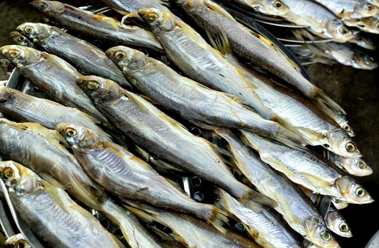 小魚干