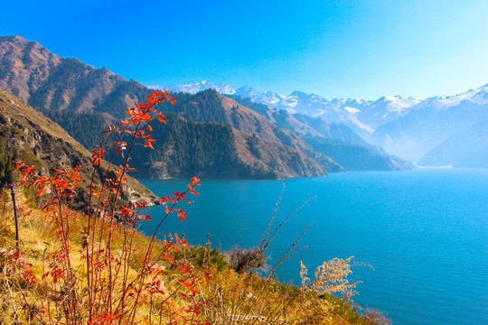 天山風(fēng)景