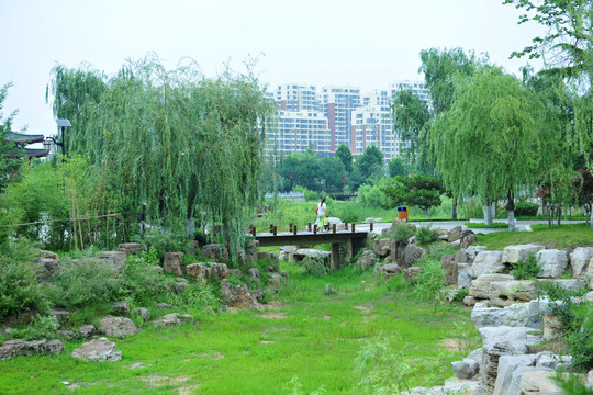 公園風(fēng)景 園林景觀 橋