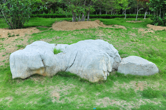 石頭 園林石