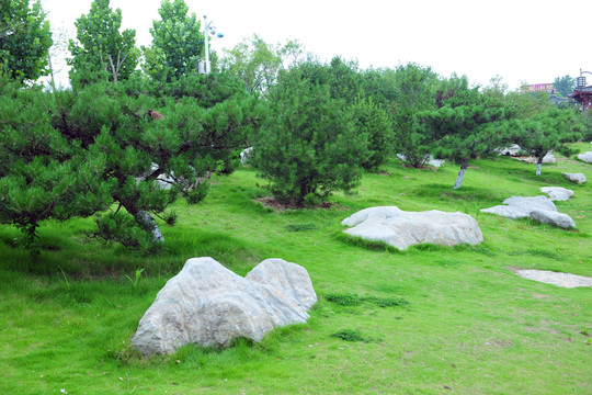 石頭 石頭景觀 園林石