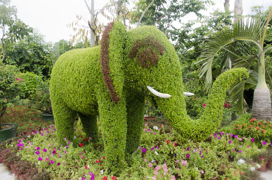 植物雕塑