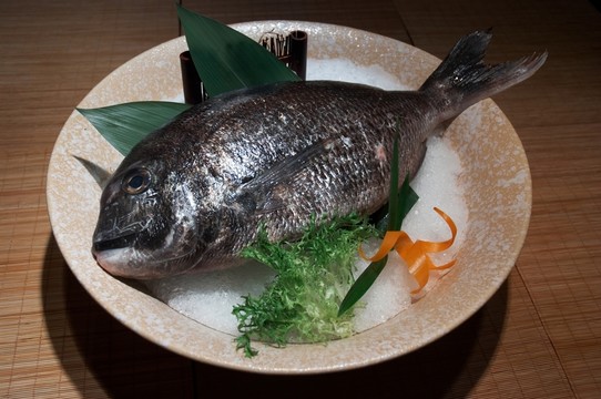 壽司生魚(yú)