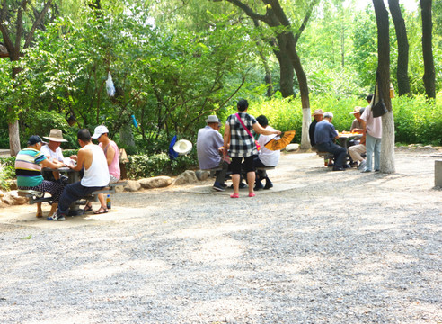 老年 公園 休閑