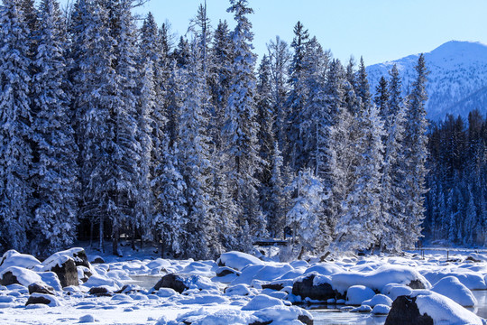 喀納斯阿勒泰山區(qū)禾木雪景