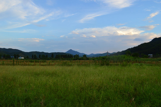 草原風(fēng)光