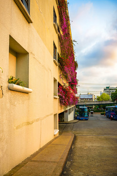 街道