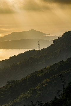 晨光