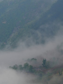 霧中村落