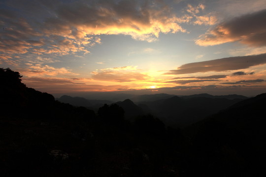 永德大雪山 杜鵑花