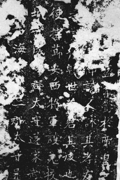 張猛龍碑拓片