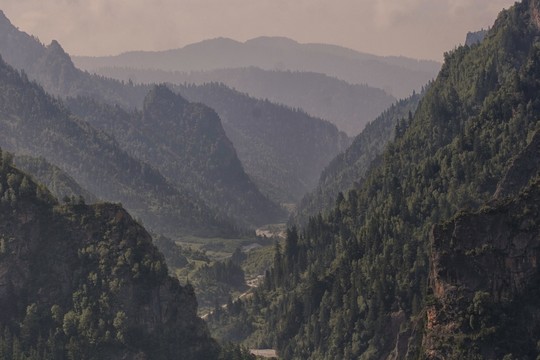 雜尕那