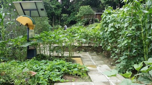 生物科普園