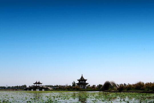 園林 公園 景觀 春天 古建筑