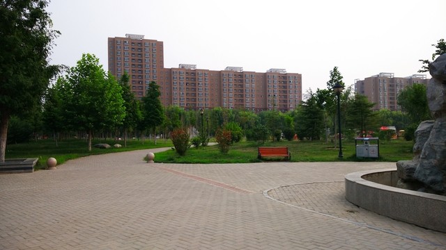 公園道路