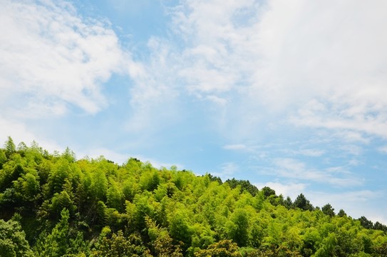 山脊線