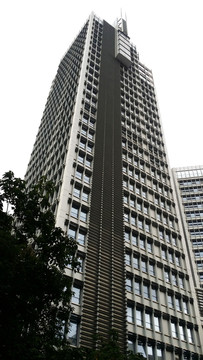 寫字樓