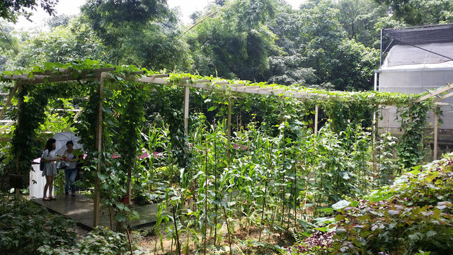 生物科普園