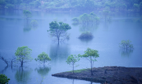 小湖晨韻