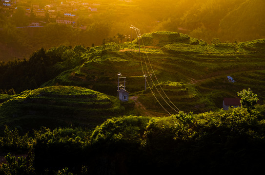 山坡光影
