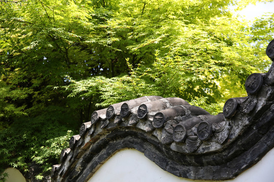 內(nèi)鄉(xiāng)縣衙后花園