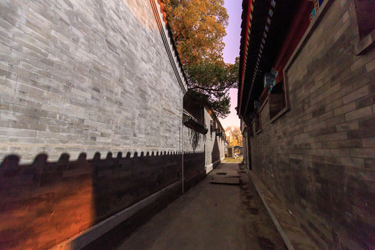 北京大學(xué)校園風(fēng)光朗潤園夜景月光