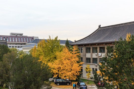 北京大學校園風光老教學樓一角