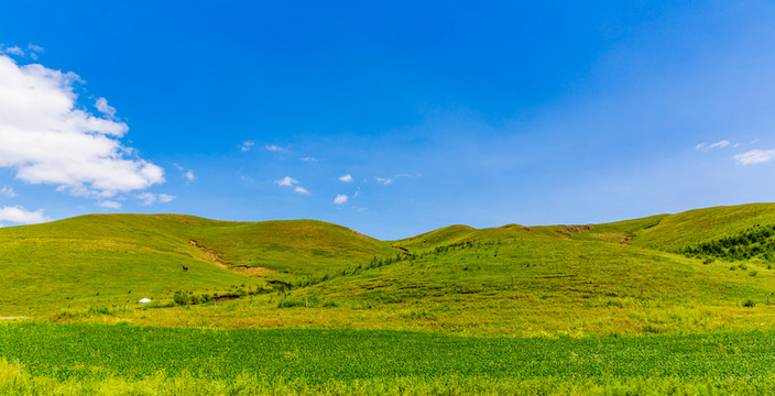 塞北林場(chǎng)