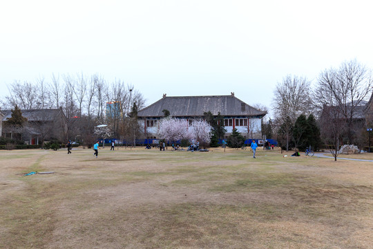 北大校園風(fēng)光靜園草坪燕京六院