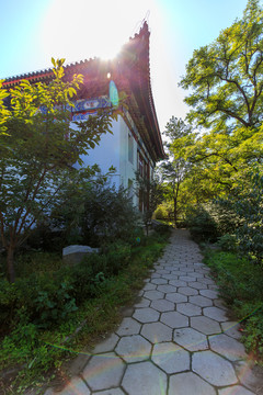 北京大學(xué)校園風(fēng)光北大古建筑